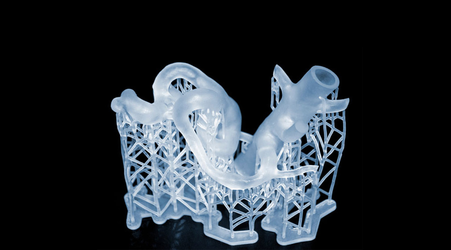 SERVICE STAMPA 3D RESINA